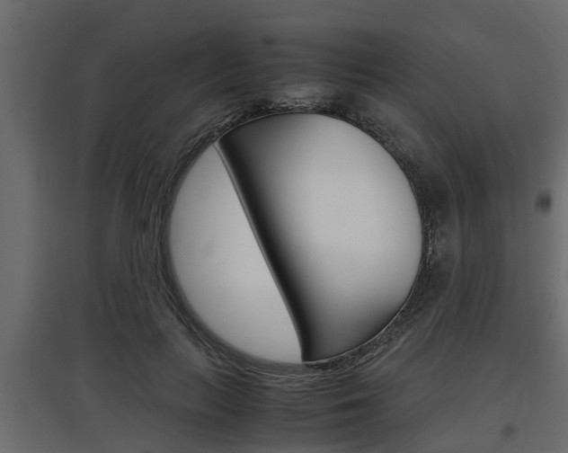 X0000097760647200803070837