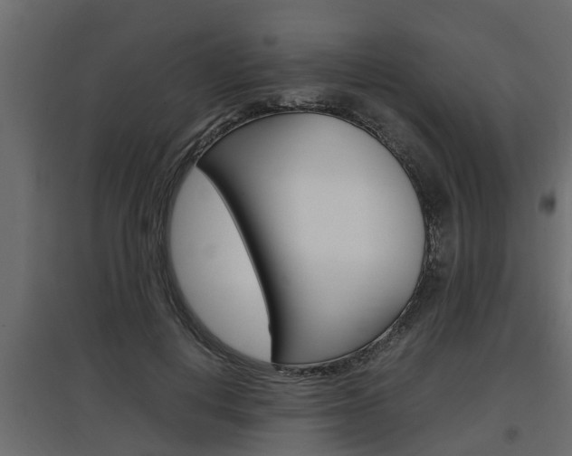 X0000097760648200803070837