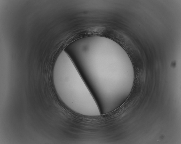 X0000097760649200803070837