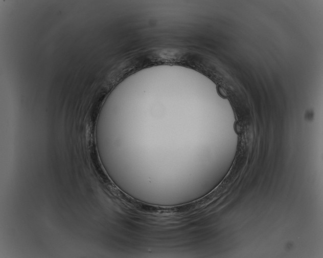 X0000097760651200803070838