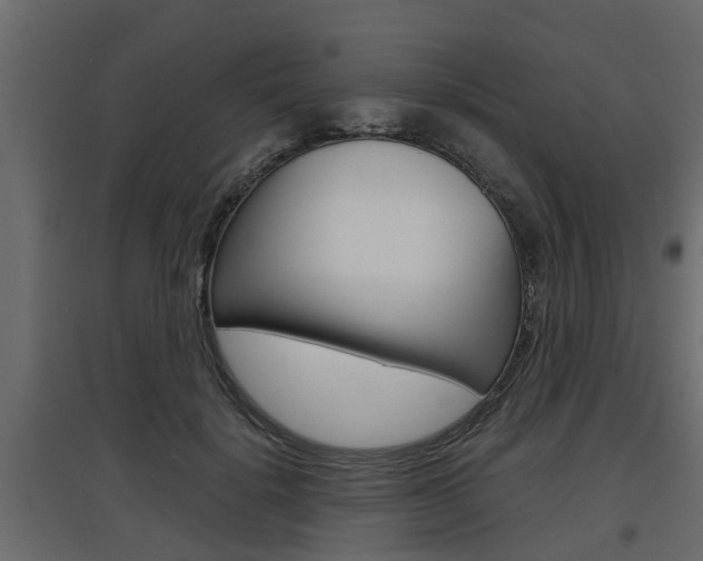 X0000097760652200803070838