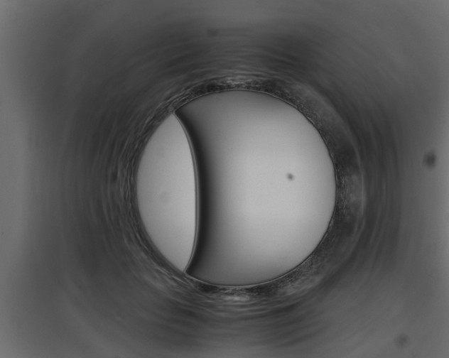 X0000097760653200803070838