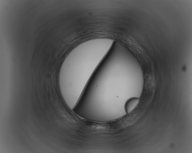 X0000097760655200803070838