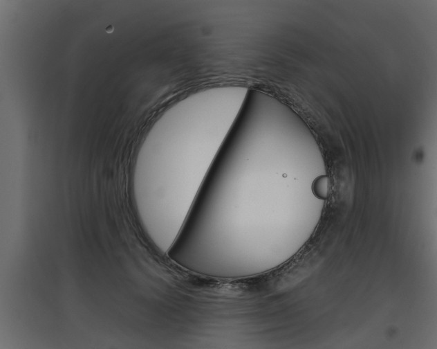 X0000097760656200803070838