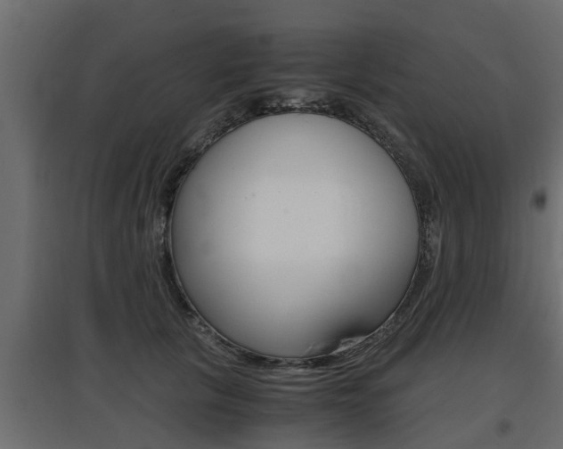 X0000097760657200803070838