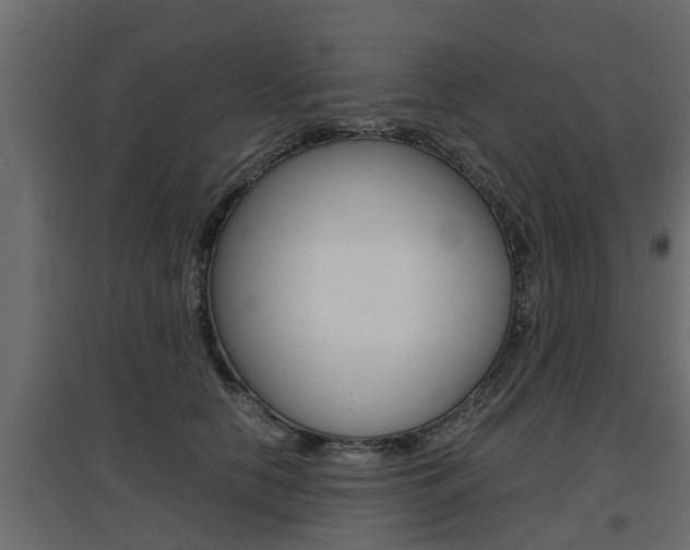 X0000097760658200803070838