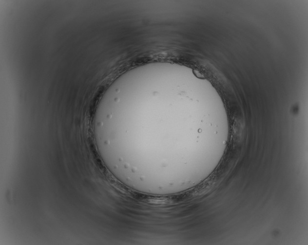 X0000097760659200803070838