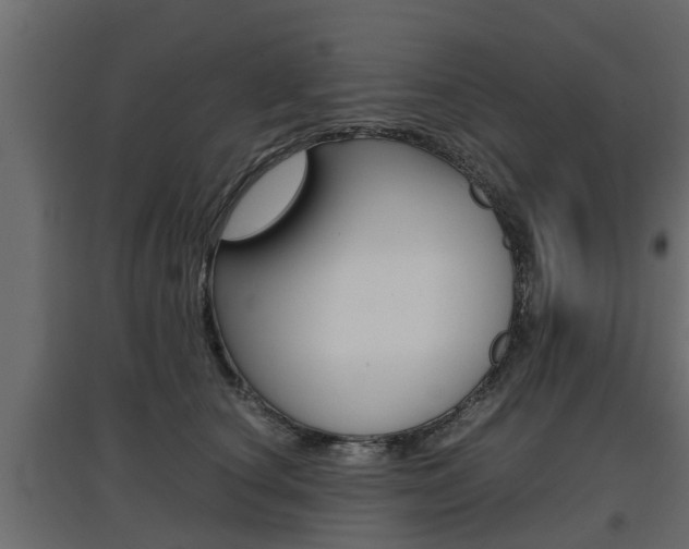 X0000097760660200803070838
