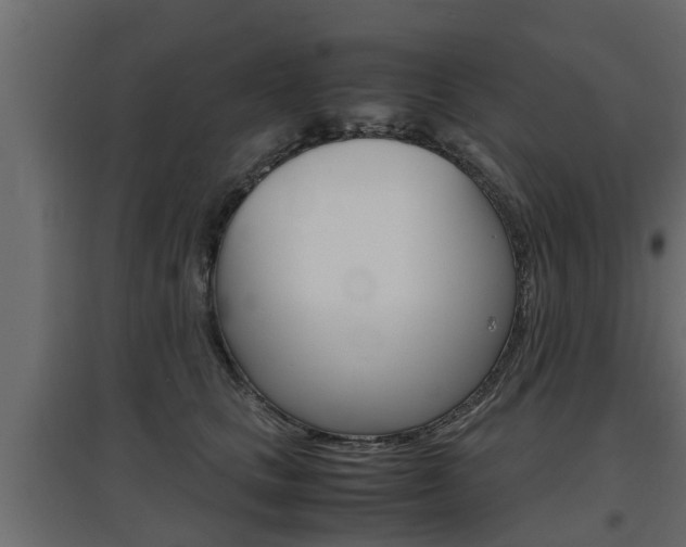 X0000097760661200803070838