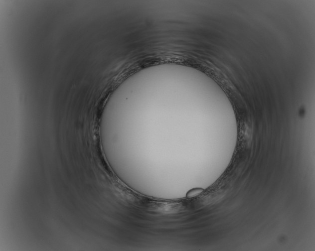 X0000097760663200803070838