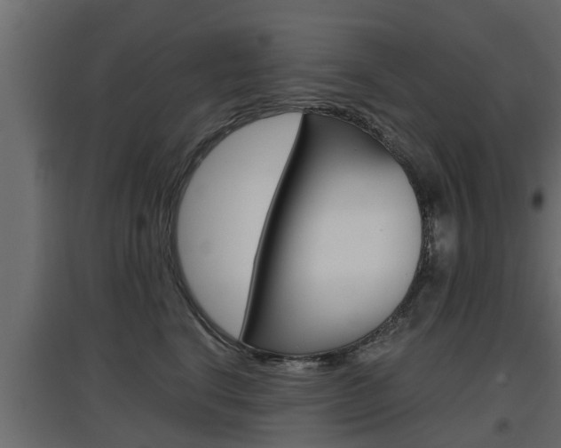 X0000097760664200803070838
