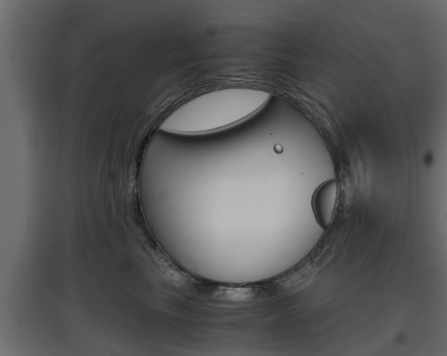 X0000097760665200803070838