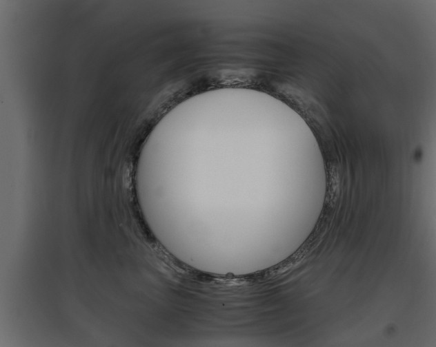 X0000097760667200803070838