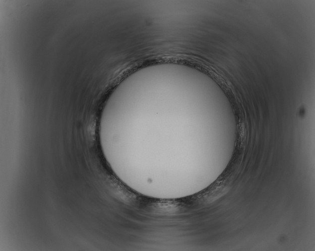 X0000097760668200803070838