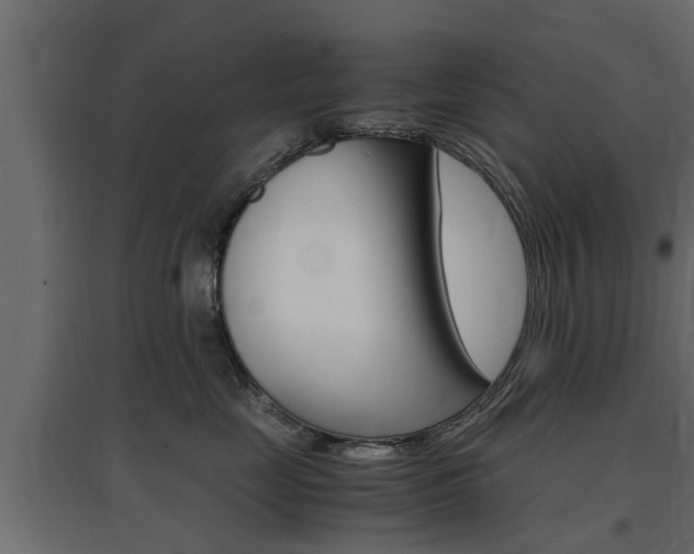 X0000097760669200803070838