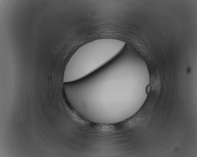X0000097760670200803070838