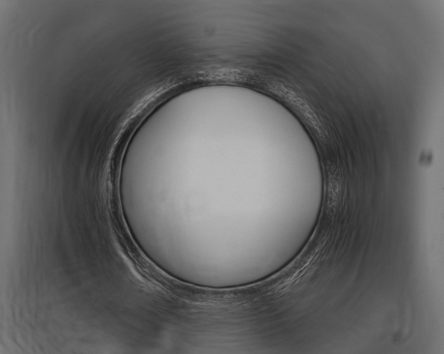 X0000097760674200803070837