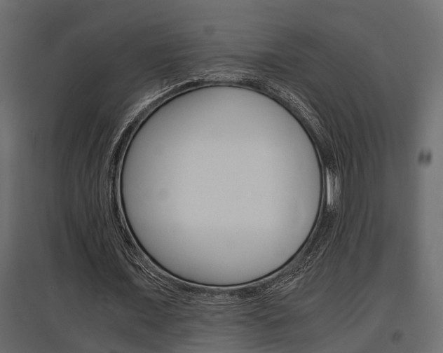 X0000097760675200803070837
