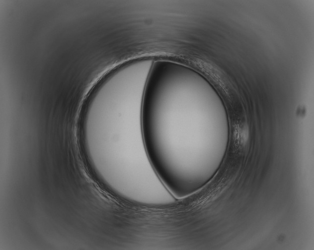 X0000097760676200803070837