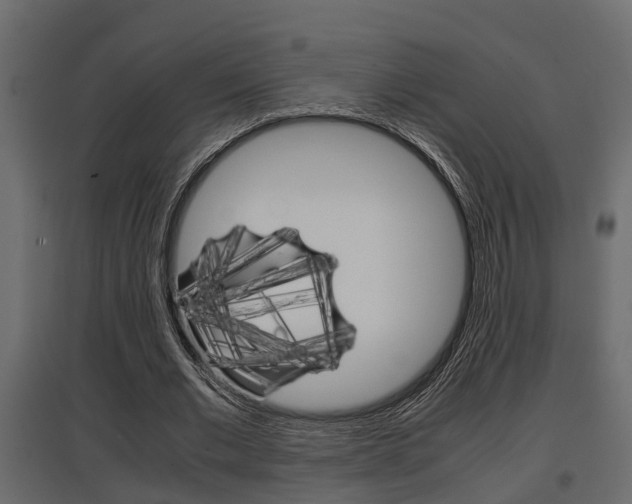 X0000097760677200803070837