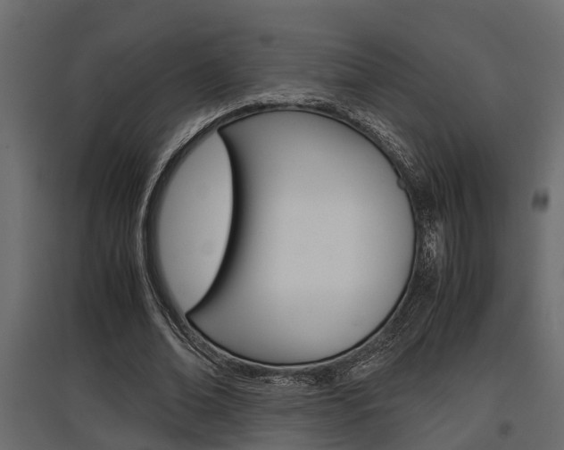 X0000097760678200803070837