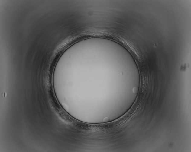 X0000097760682200803070837