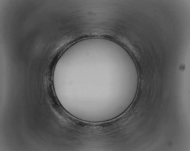 X0000097760683200803070837