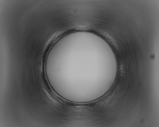 X0000097760686200803070837