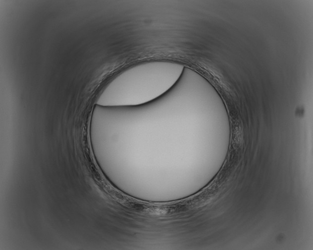 X0000097760687200803070837