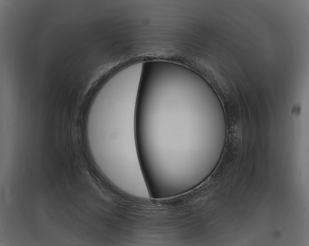 X0000097760688200803070837