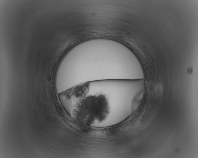 X0000097760691200803070837