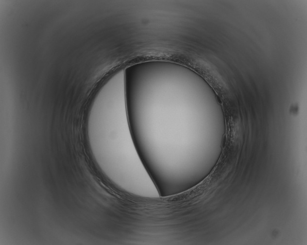 X0000097760692200803070837