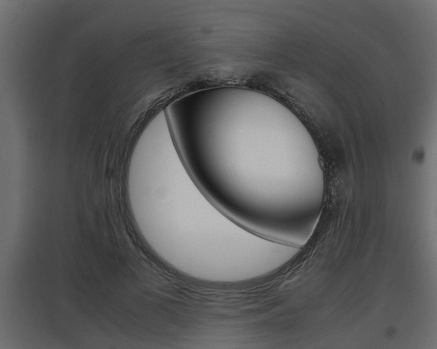 X0000097760693200803070837