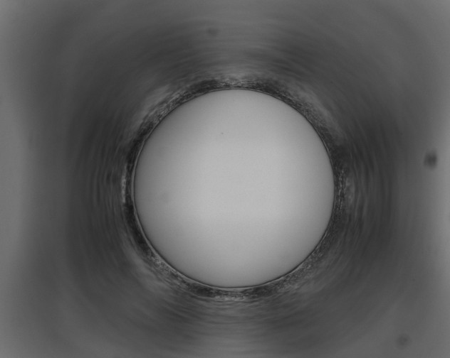 X0000097760694200803070837