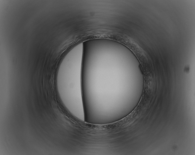 X0000097760696200803070837