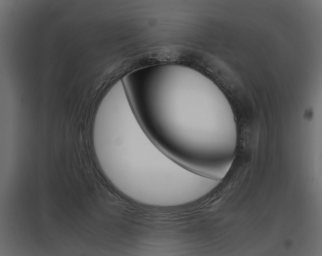 X0000097760697200803070837
