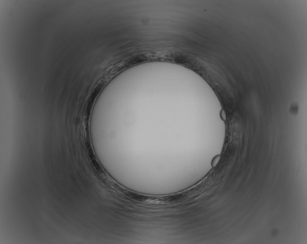 X0000097760699200803070837