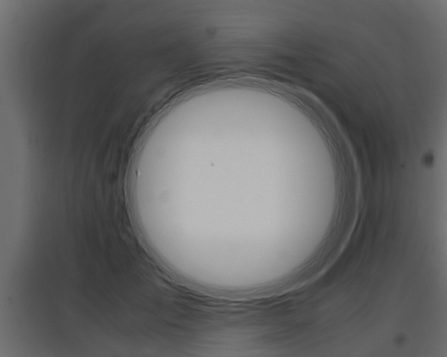 X0000097760701200803070837