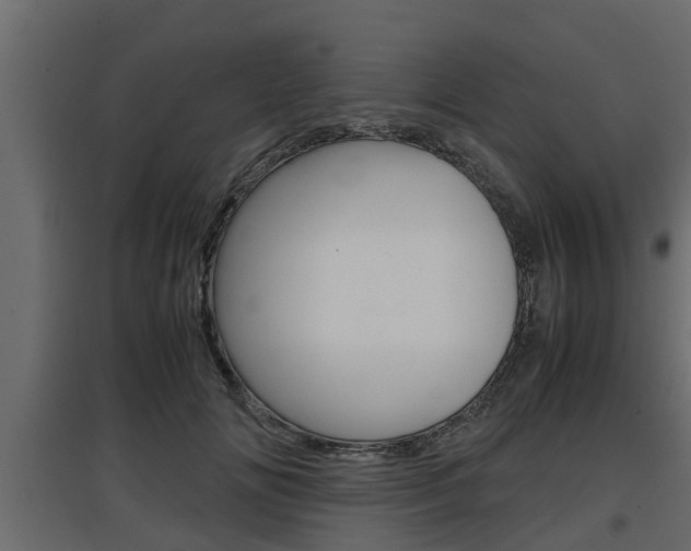 X0000097760702200803070837