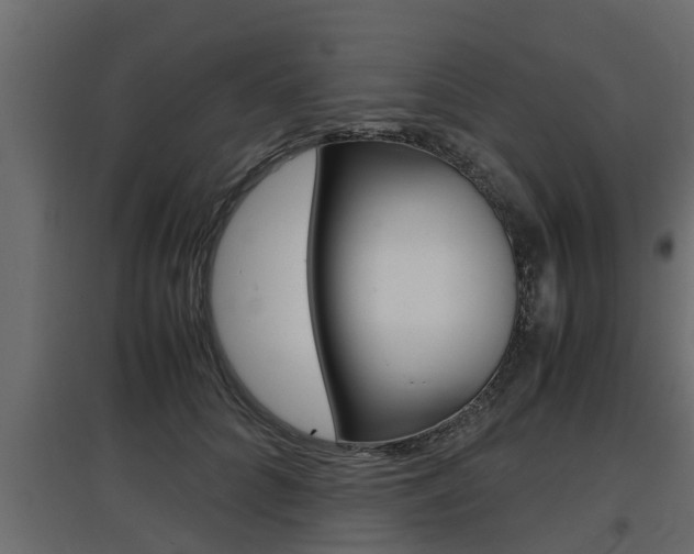 X0000097760704200803070837