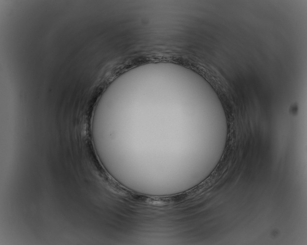 X0000097760706200803070837