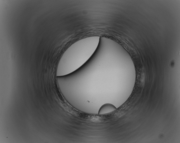 X0000097760710200803070837