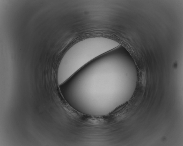 X0000097760712200803070837