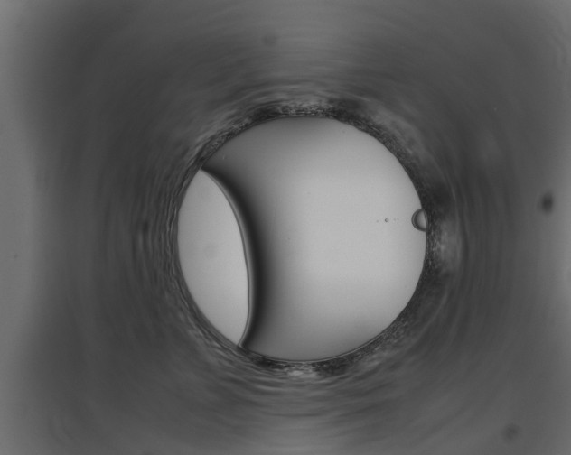 X0000097760715200803070837