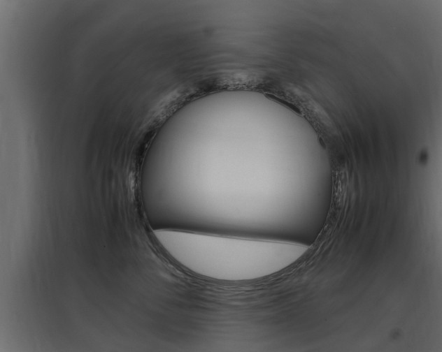 X0000097760716200803070837
