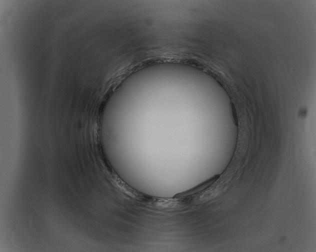 X0000097760720200803070836