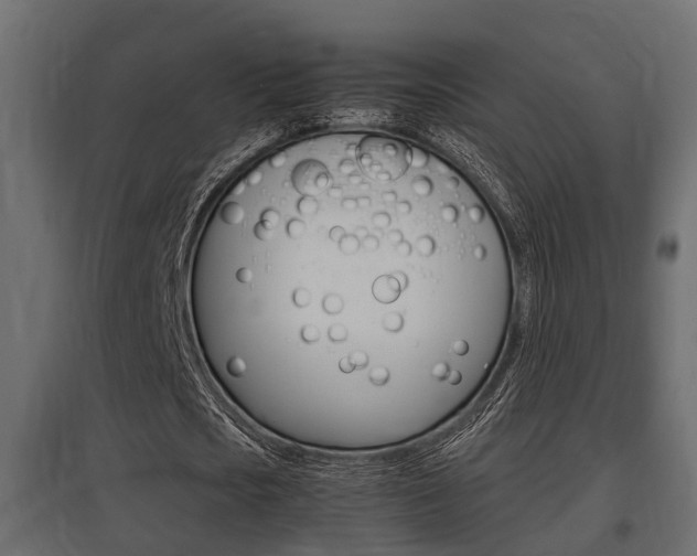 X0000097760721200803070836