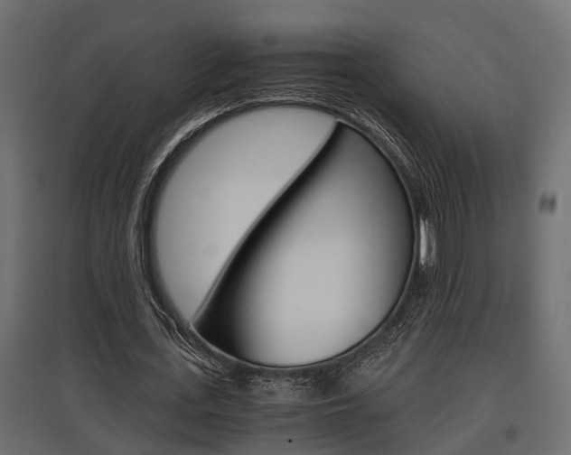 X0000097760723200803070836