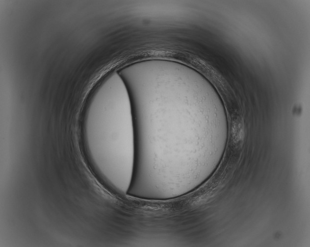 X0000097760725200803070836
