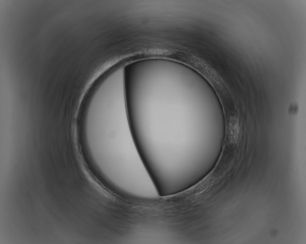 X0000097760726200803070836